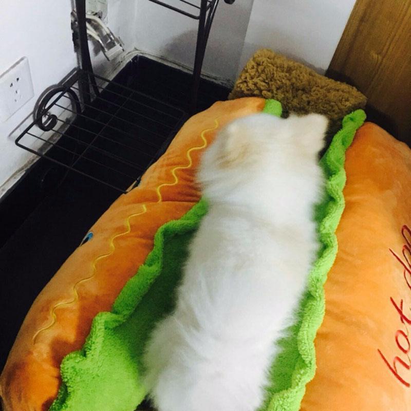 Cama para Pets - Hot Dog - Galeria desconto 