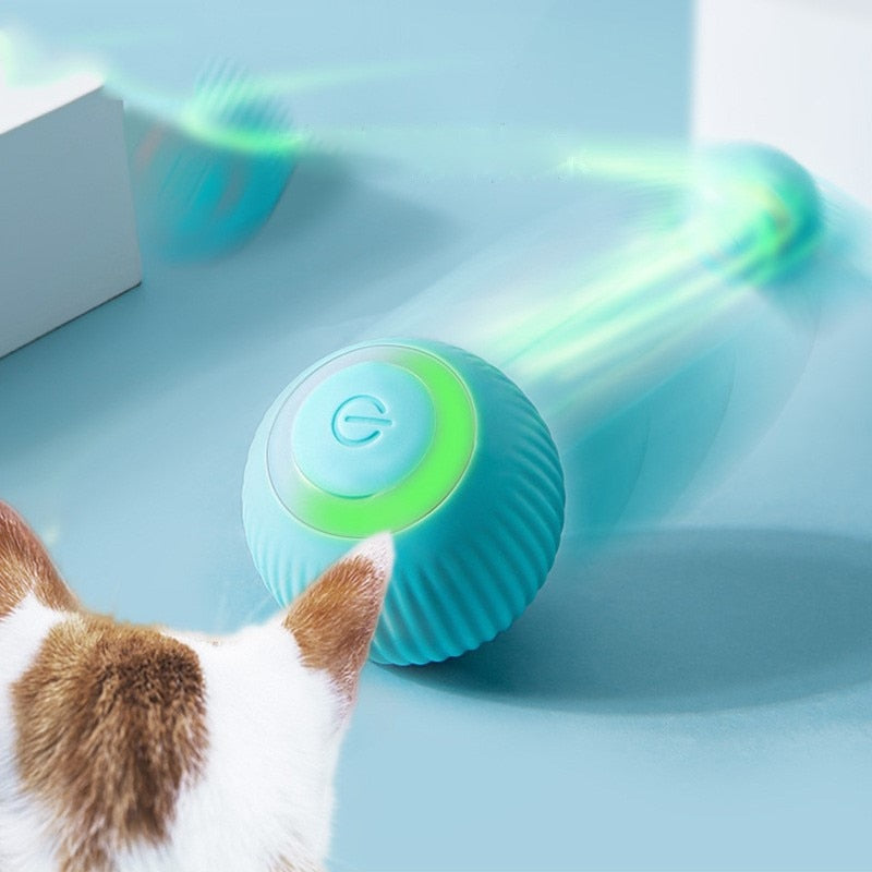 Bola Inteligente para Pet - Smart Ball™ - Galeria desconto 