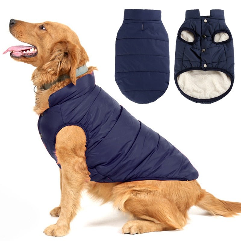 Colete Pet Steve™ | Roupa Para Cachorro - Galeria desconto 