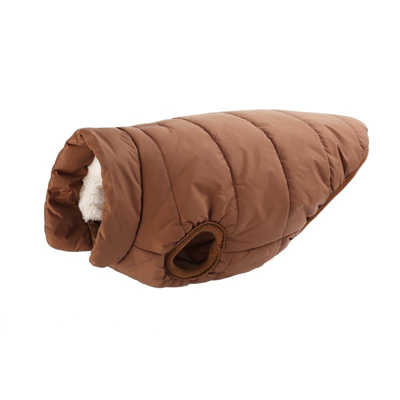 Colete Pet Steve™ | Roupa Para Cachorro - Galeria desconto 