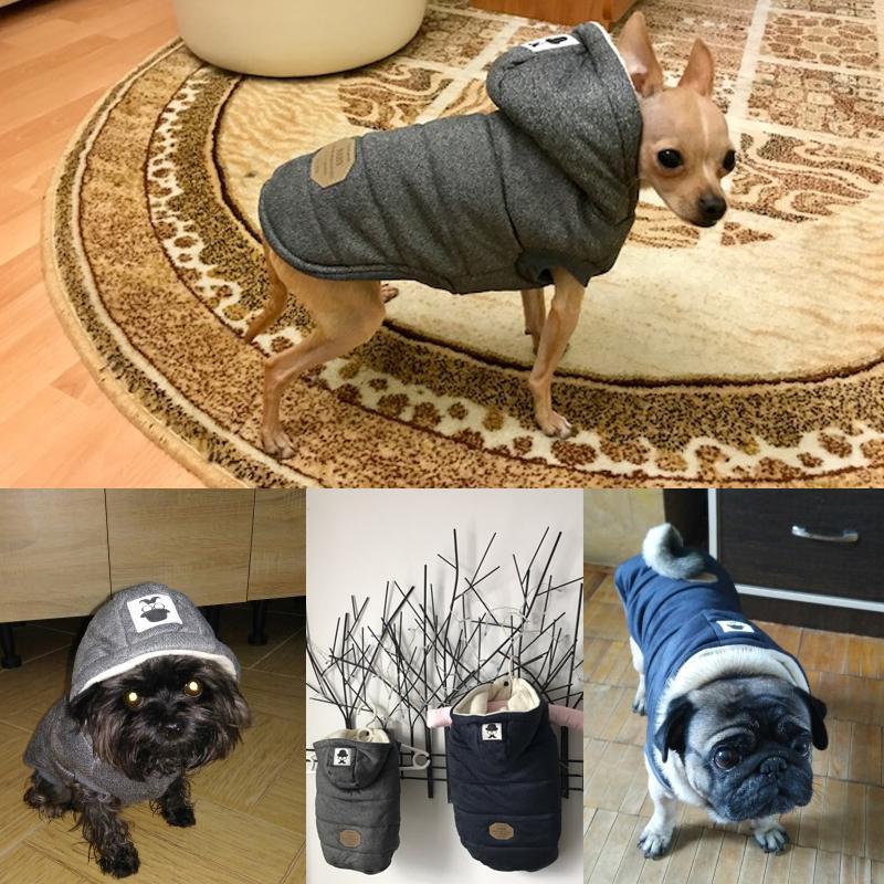 Colete de Inverno para Cachorros | Gentleman - Galeria desconto 