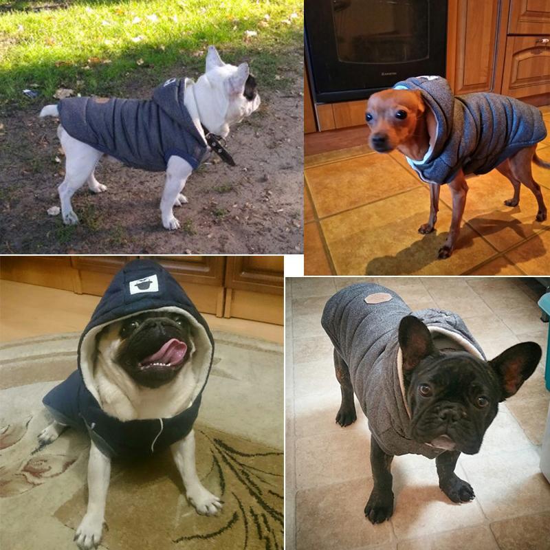 Colete de Inverno para Cachorros | Gentleman - Galeria desconto 