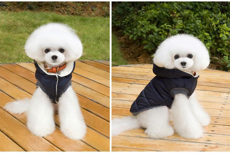 Colete de Inverno para Cachorros | Gentleman - Galeria desconto 