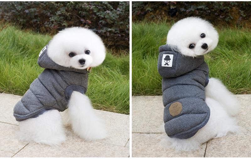 Colete de Inverno para Cachorros | Gentleman - Galeria desconto 